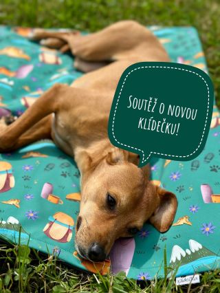 Soutěž o naši novou klídečku ve velikosti 85 x 70 cm, která je jako stvořená na výlety do hor! 🏔️ Buď první, kdo ji bude...