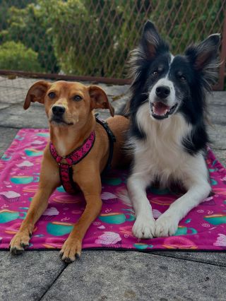 Terasa, čerstvá káva a pohodička — to je přesně ten správný start do nového dne ☕️. A k tomu se samozřejmě nejvíc hodí...