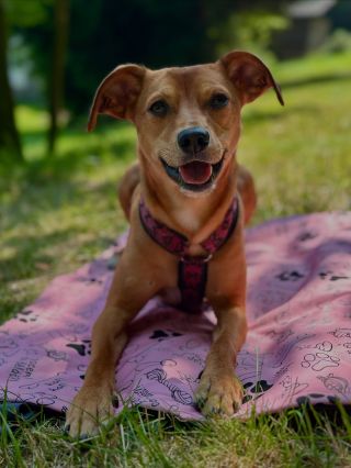 Léto pomalinku končí a podzim je za dveřmi🍂. My jsme letos měly s holkama jedno z nejhezčích lét za poslední roky. Trávily...